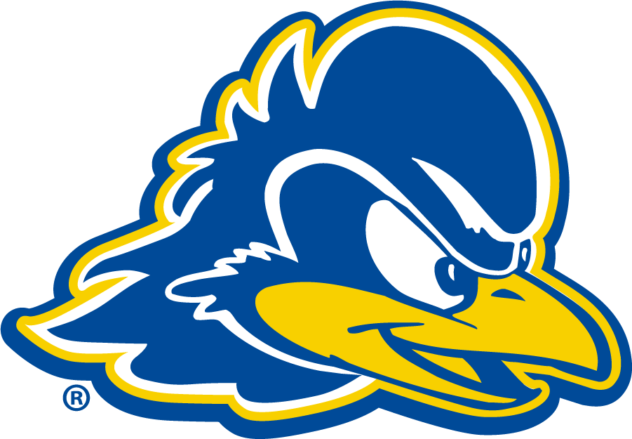 Delaware Blue Hens 2018-Pres Primary Logo diy DTF decal sticker